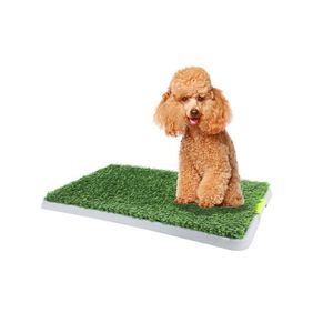 Green Trainer Pawise