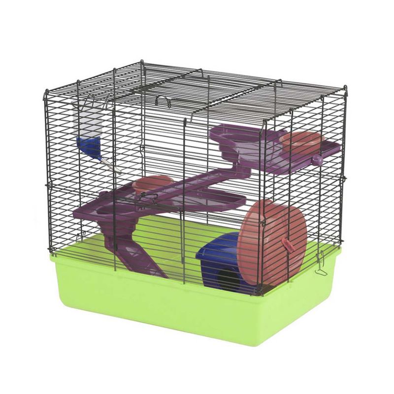 Hamster fun clearance home