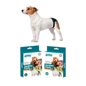 Protector Para Celo Xl Pawise