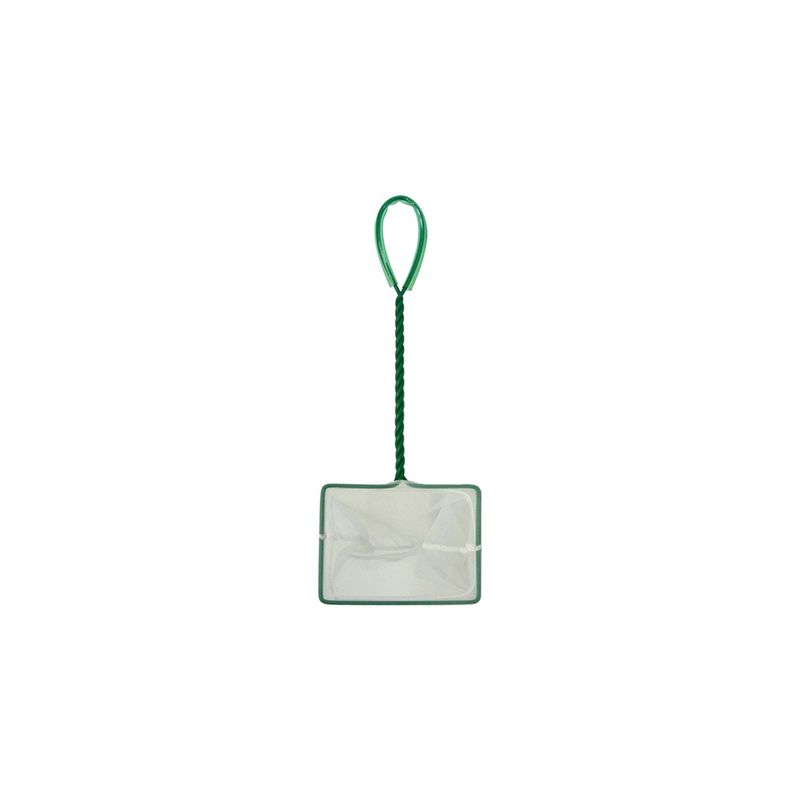 Red-Aqua-One-12-Cm