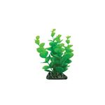 Planta-Bacopa-Redonda-13-Cm