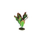 Planta-Amazon-Verde-Y-Roja-13-Cm