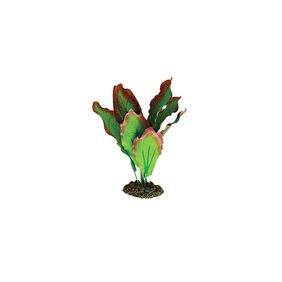 Planta Amazon Verde Y Roja 13 Cm