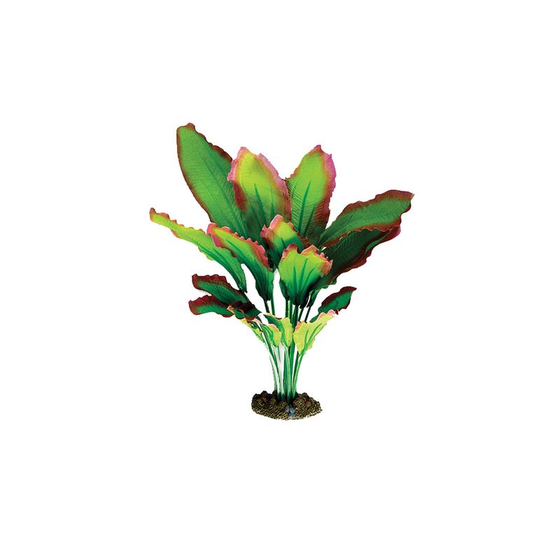 Planta-Amazon-Verde-Y-Rojo-30-Cm
