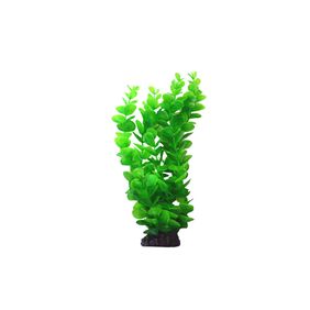 Planta Bacopa Redonda 30 Cm