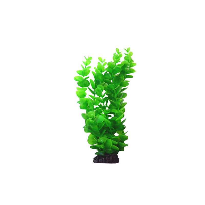 Planta-Bacopa-Redonda-30-Cm