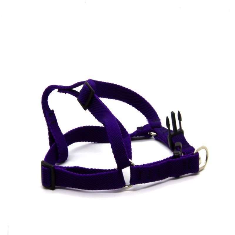 Arnes-Ajustable-H1550P-15Mm-X-45-55Cm