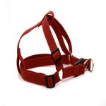Arnes-Ajustable--H2575-25Mm-X-60-75Cm