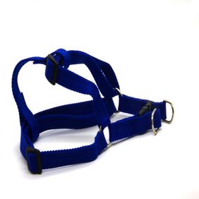 Arnes Ajustable  H2060P 20Mm X 50-60Cm