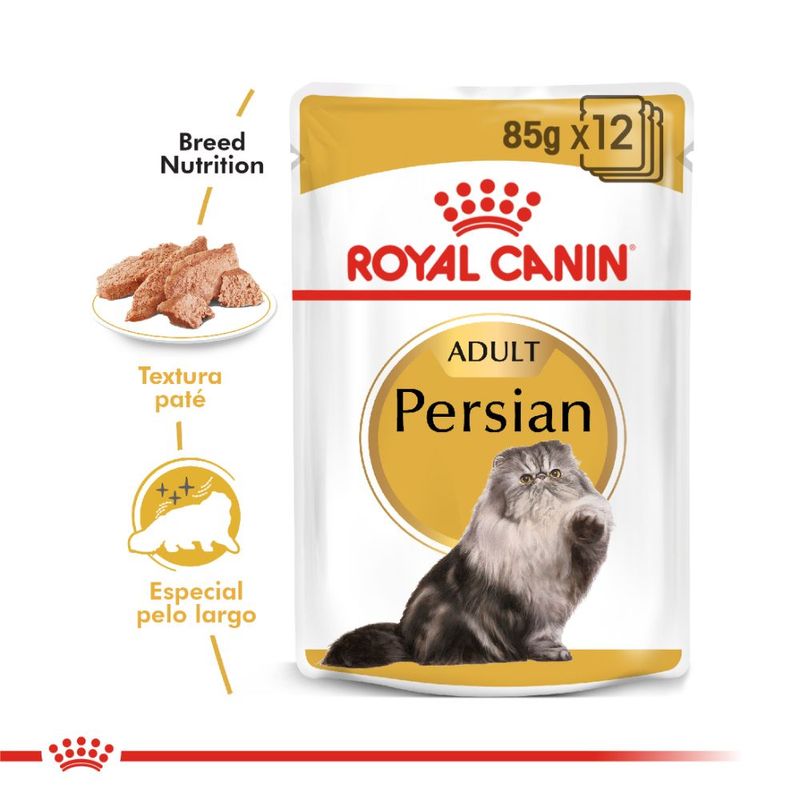 persian-1000x1000-
