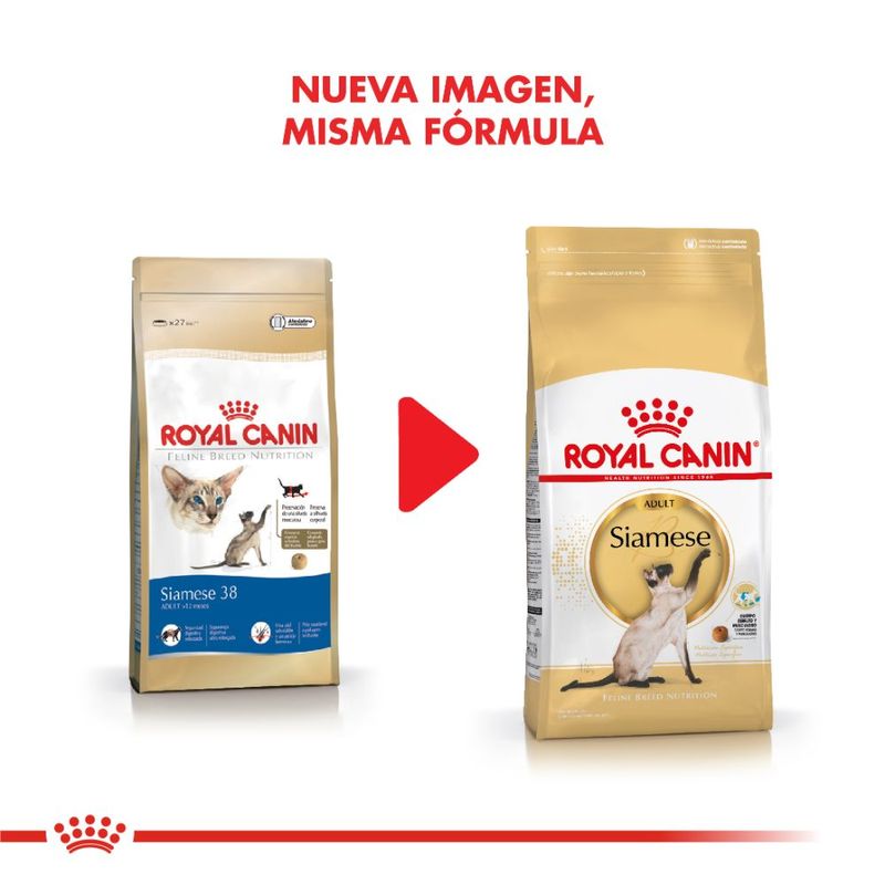 Royal lasagne Canin Siamese Cat