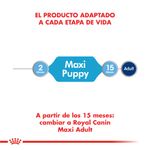 MAXI_PUPPY_05