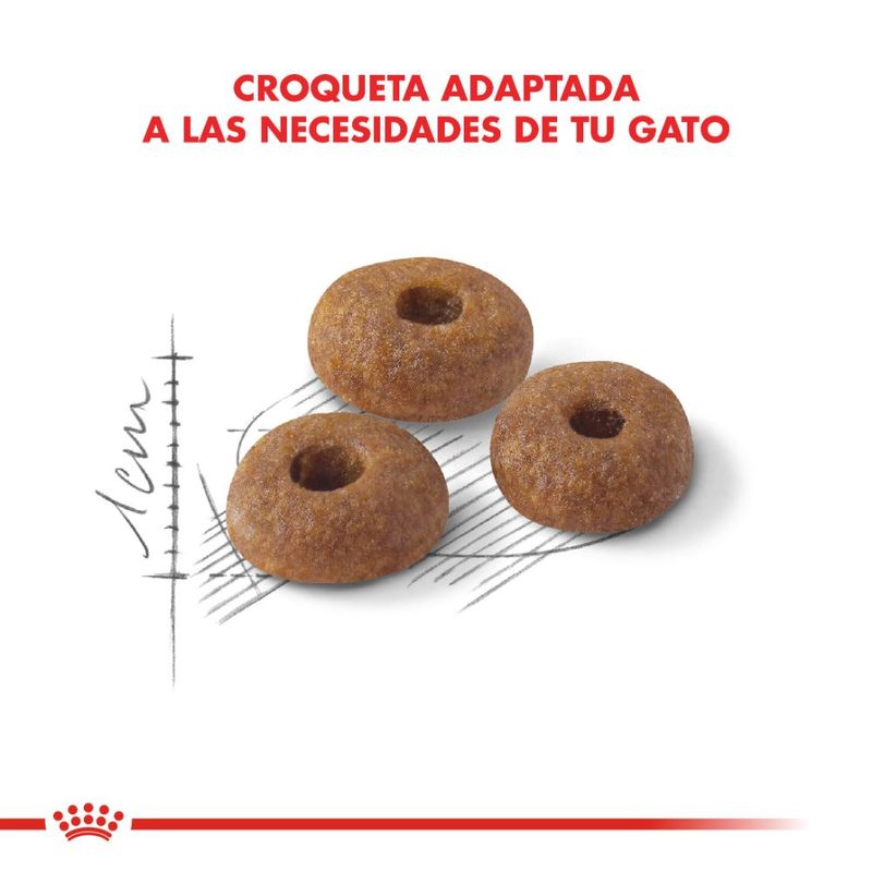 fit-1000x1000