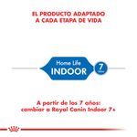 indoor-1000x1000