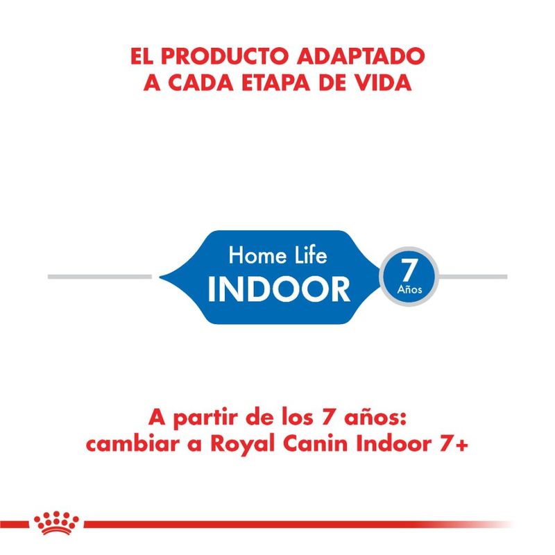 indoor-1000x1000