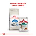 indoor7-1000x1000