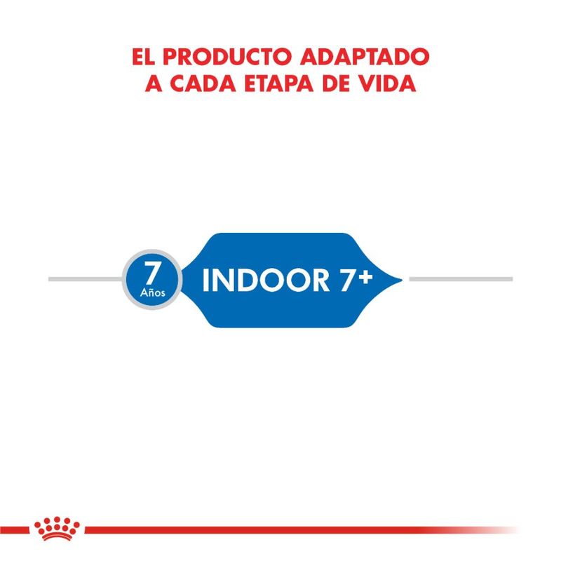 indoor7-1000x1000