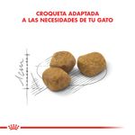 indoor7-1000x1000