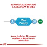 mini-puppy-1