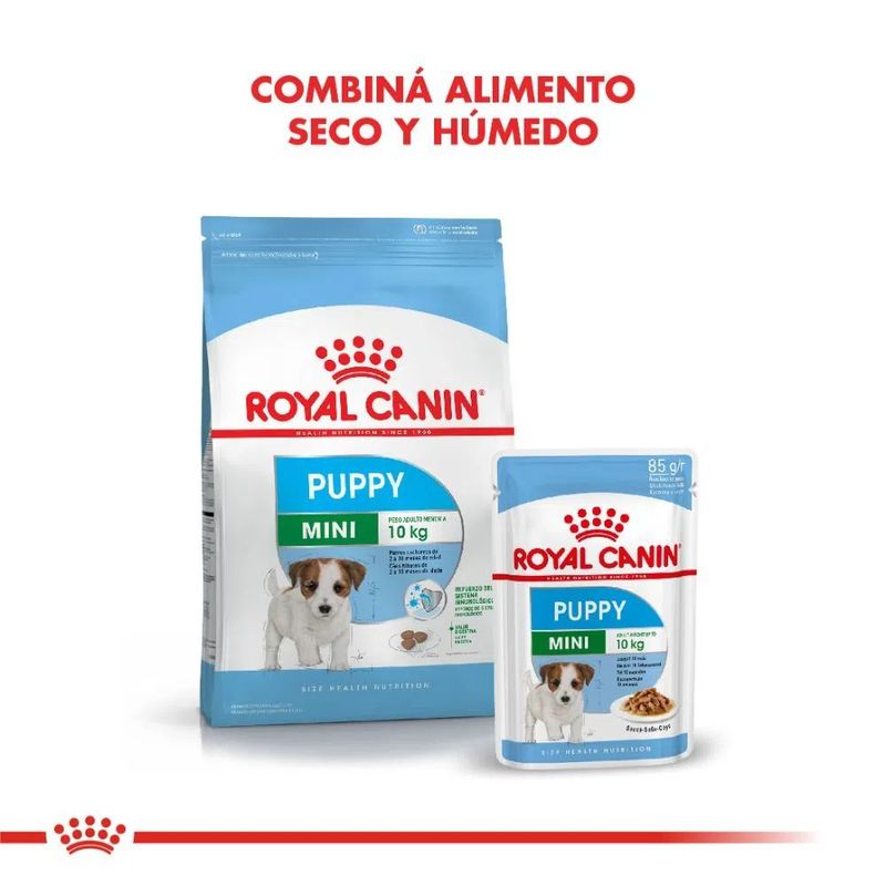 MINI_PUPPY_03