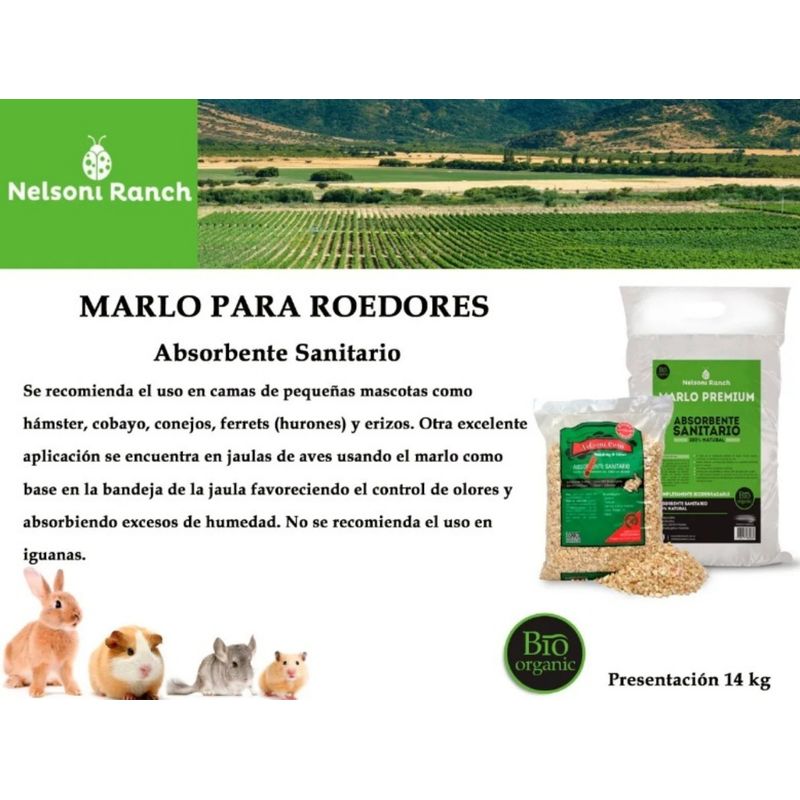 marlo-2