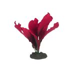 plata-roja-3