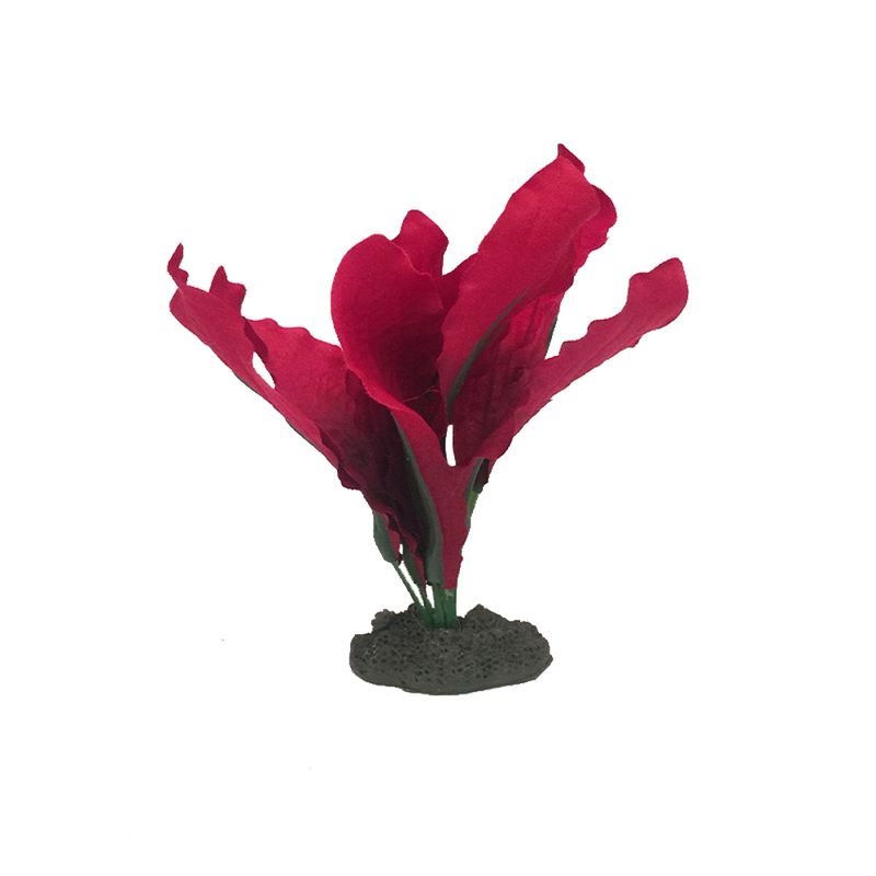plata-roja-3