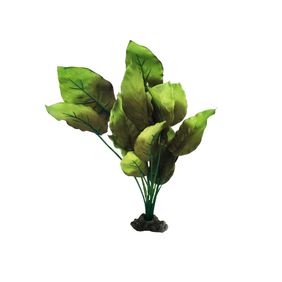 Planta Sword Radicans 30 Cm