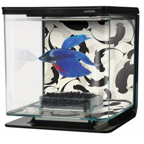 Betta Kit Marina Sun