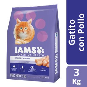 Iams Kitten Food