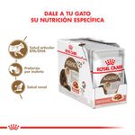 pouch-caja