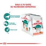 royal-canin-instinctive-7-gravy-pouch-gato-x-12-envio-caba-D_NQ_NP_898963-MLA31027630903_062019-F