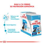 alimento-perros-pouch-royal-canin-puppy-maxi-sobrecito-x10-D_NQ_NP_795509-MLA32417713387_102019-F