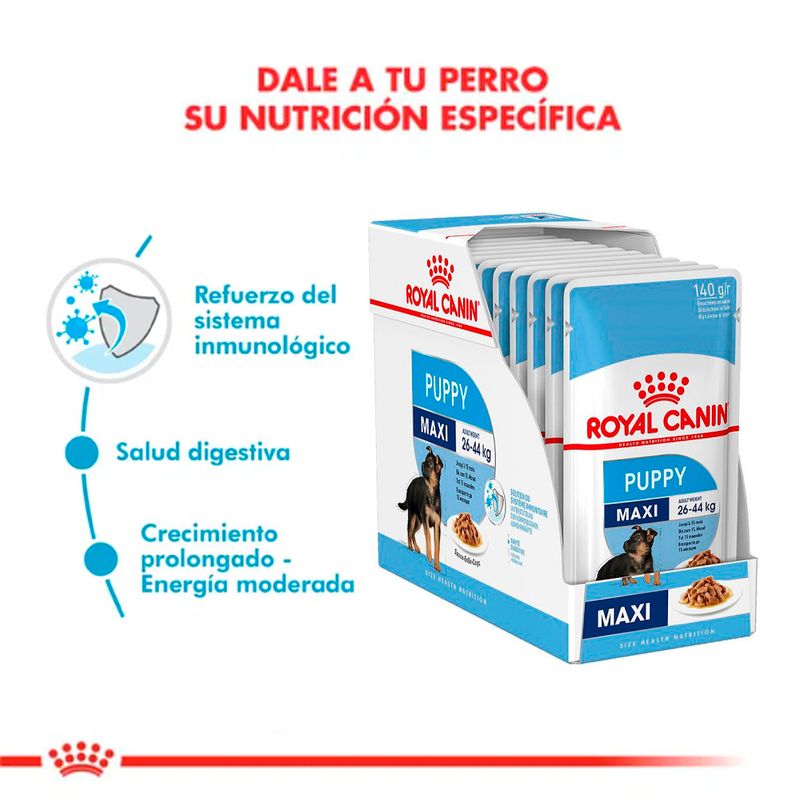 alimento-perros-pouch-royal-canin-puppy-maxi-sobrecito-x10-D_NQ_NP_795509-MLA32417713387_102019-F