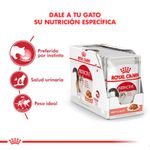 instictive-info