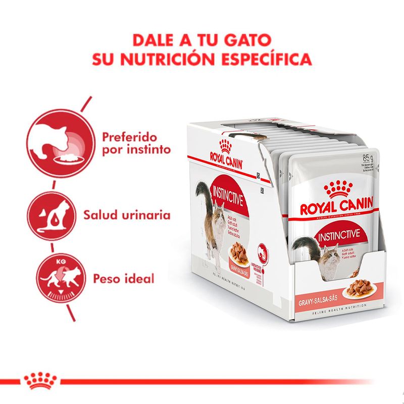 instictive-info