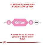 KITTEN_05