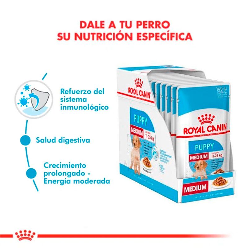 royal-canin-pouch-medium-puppy-perros-sobrecito-140gr-x10-D_NQ_NP_776861-MLA30982730312_062019-F