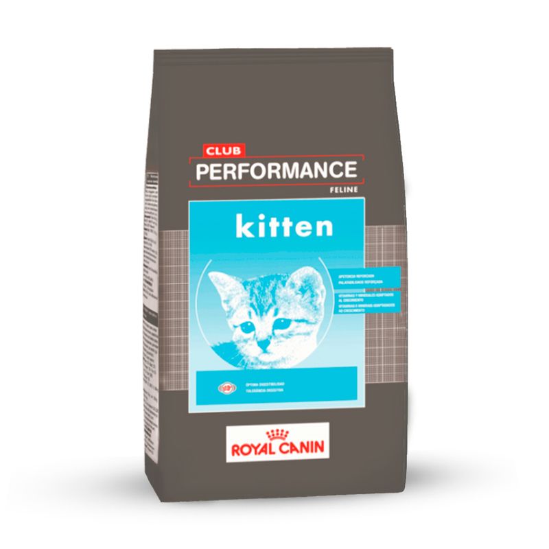 desktop_club-performance-cat-kitten-gato-cachorro_115.png