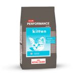 desktop_club-performance-cat-kitten-gato-cachorro_115.png
