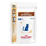 gastro-pouch-cat