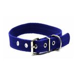 collar-2