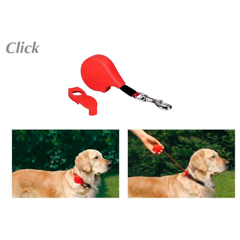 click-flexi-1