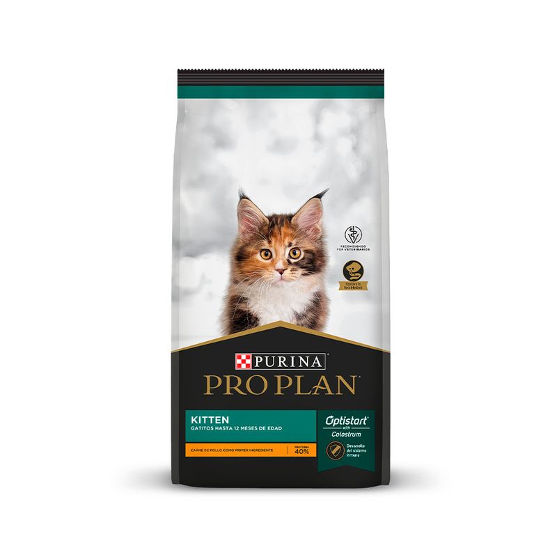 pp-kitten