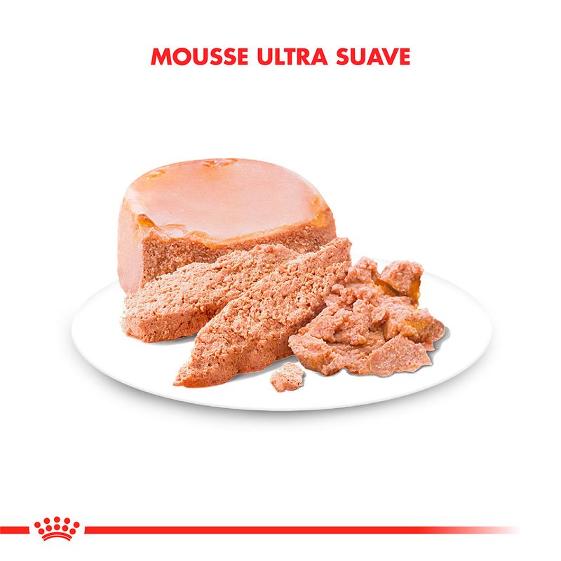starter-mousse-1