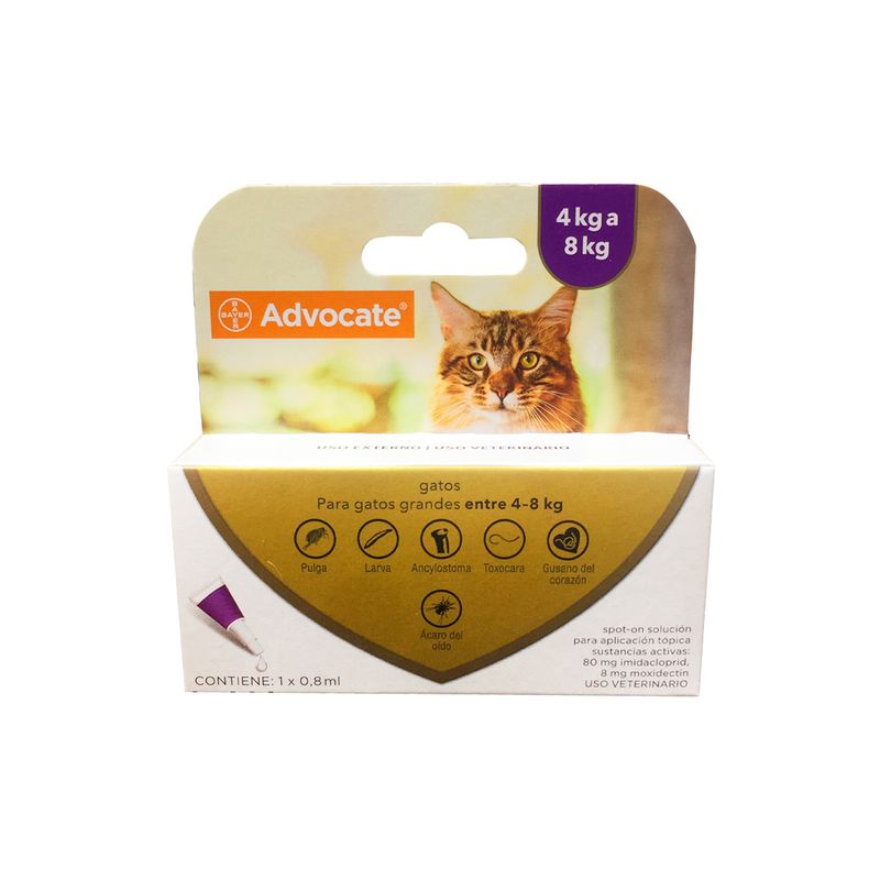 advocate-gato-grande