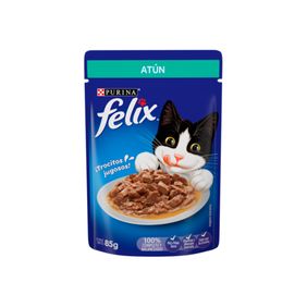 Felix Atun  En Salsa