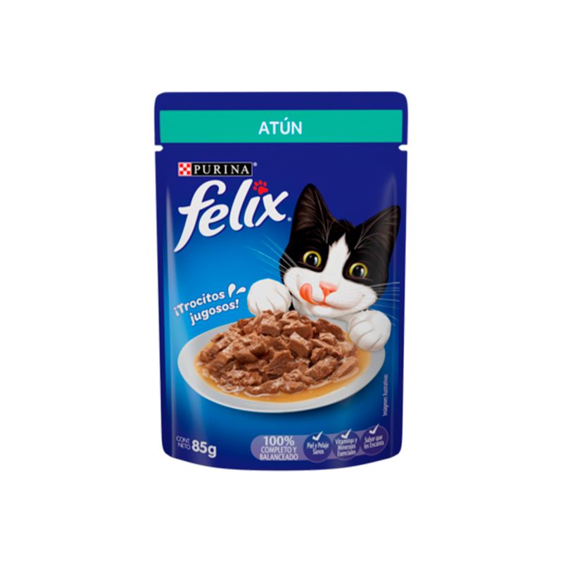 7501072209801_FX_ATUNSALSA_Pouch_85g_F.png