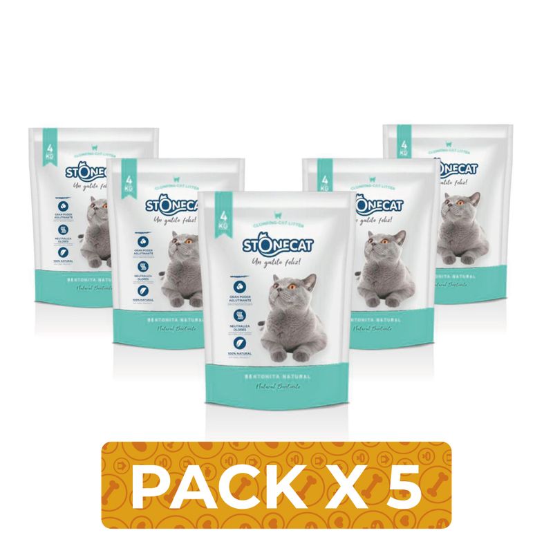 StoncecatX5