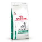 diabetic-dog